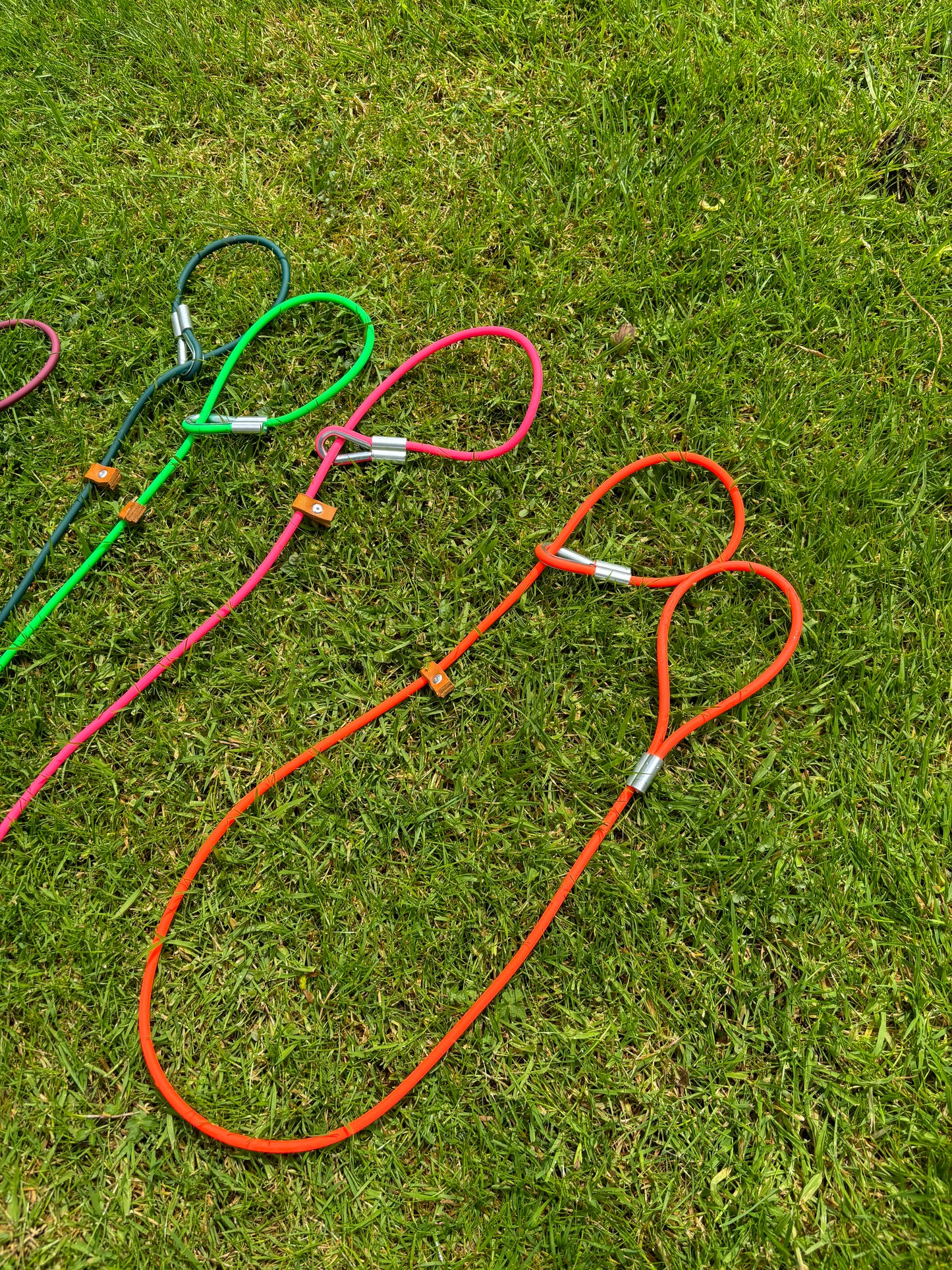 Dog slip lead