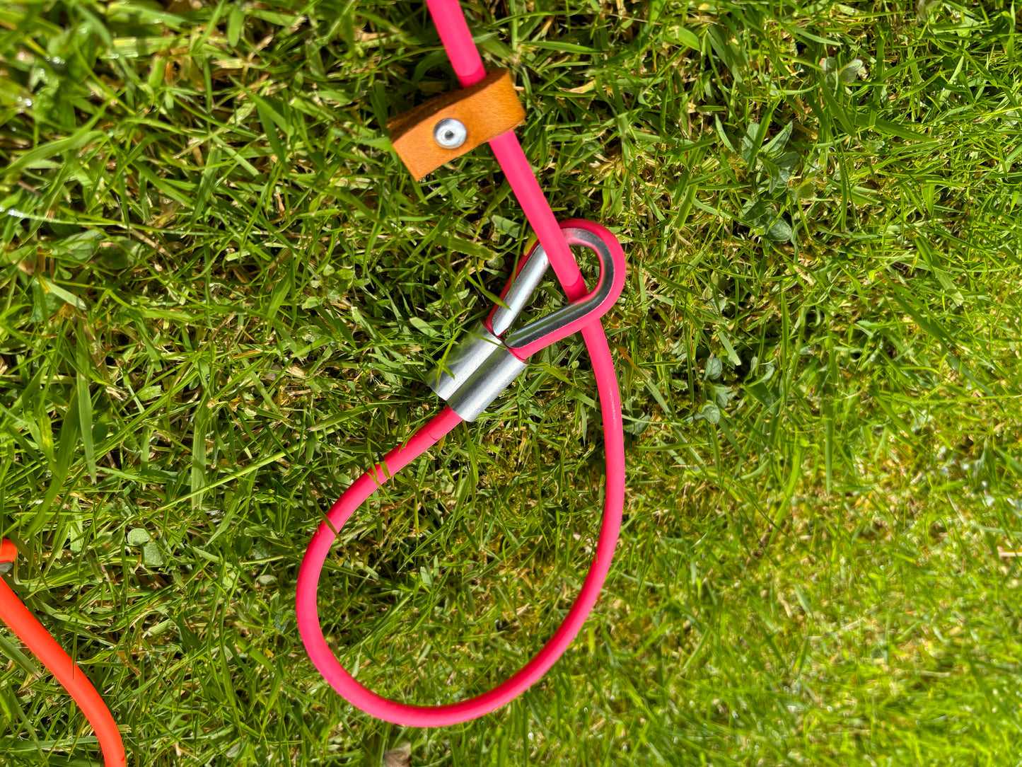 Dog slip lead