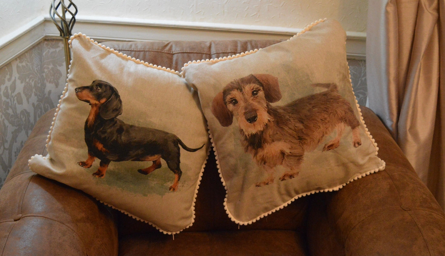 Dachshund cushion