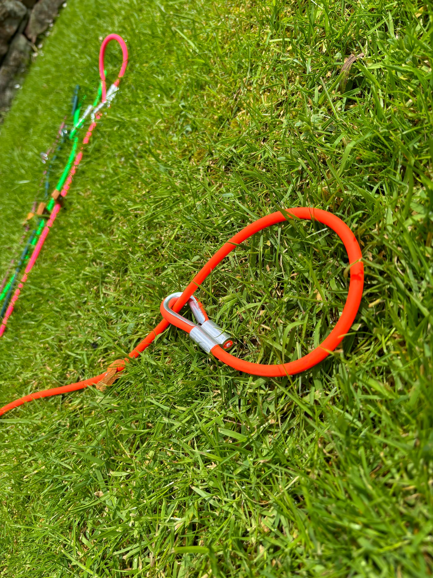 Dog slip lead