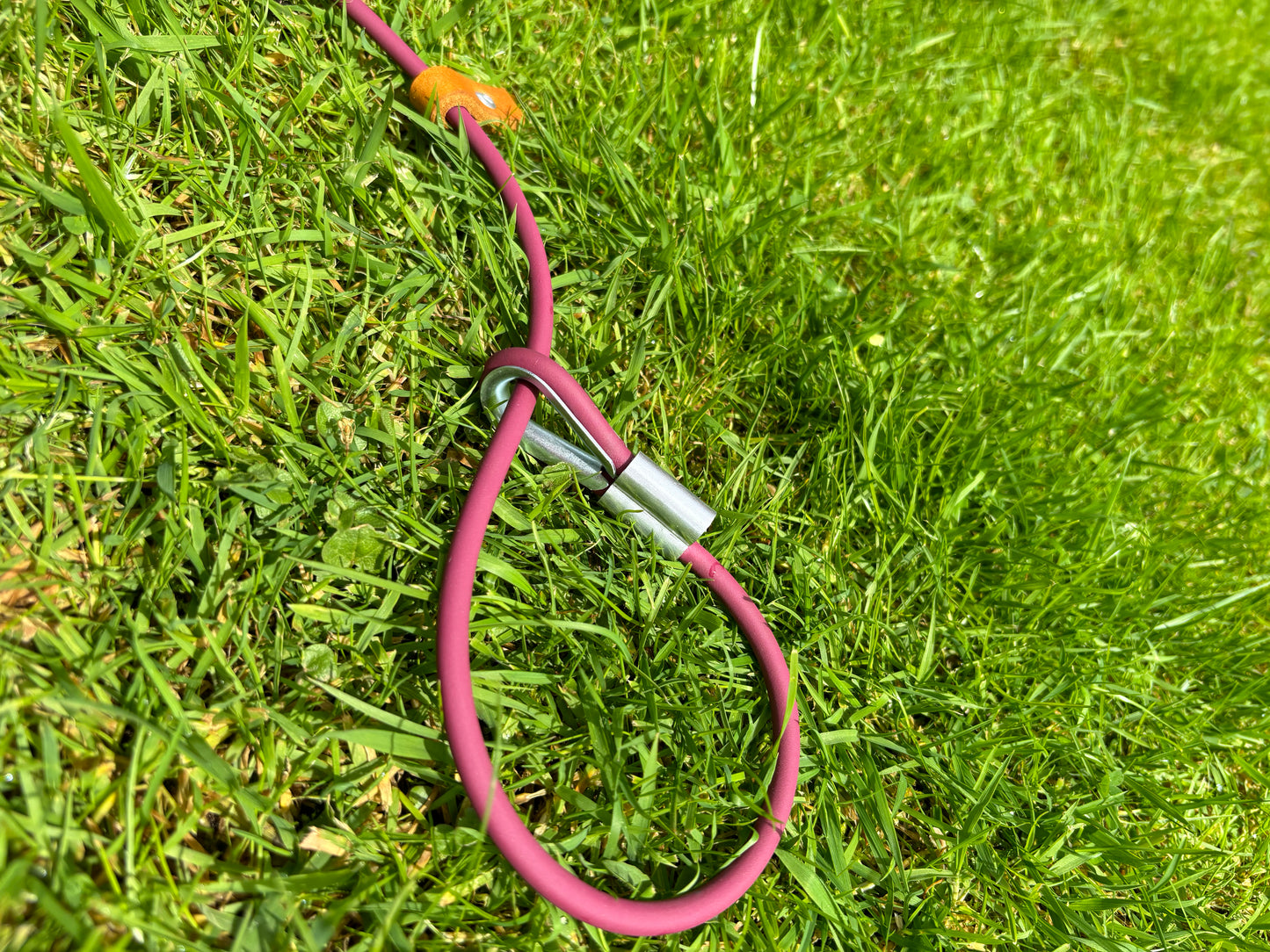 Dog slip lead