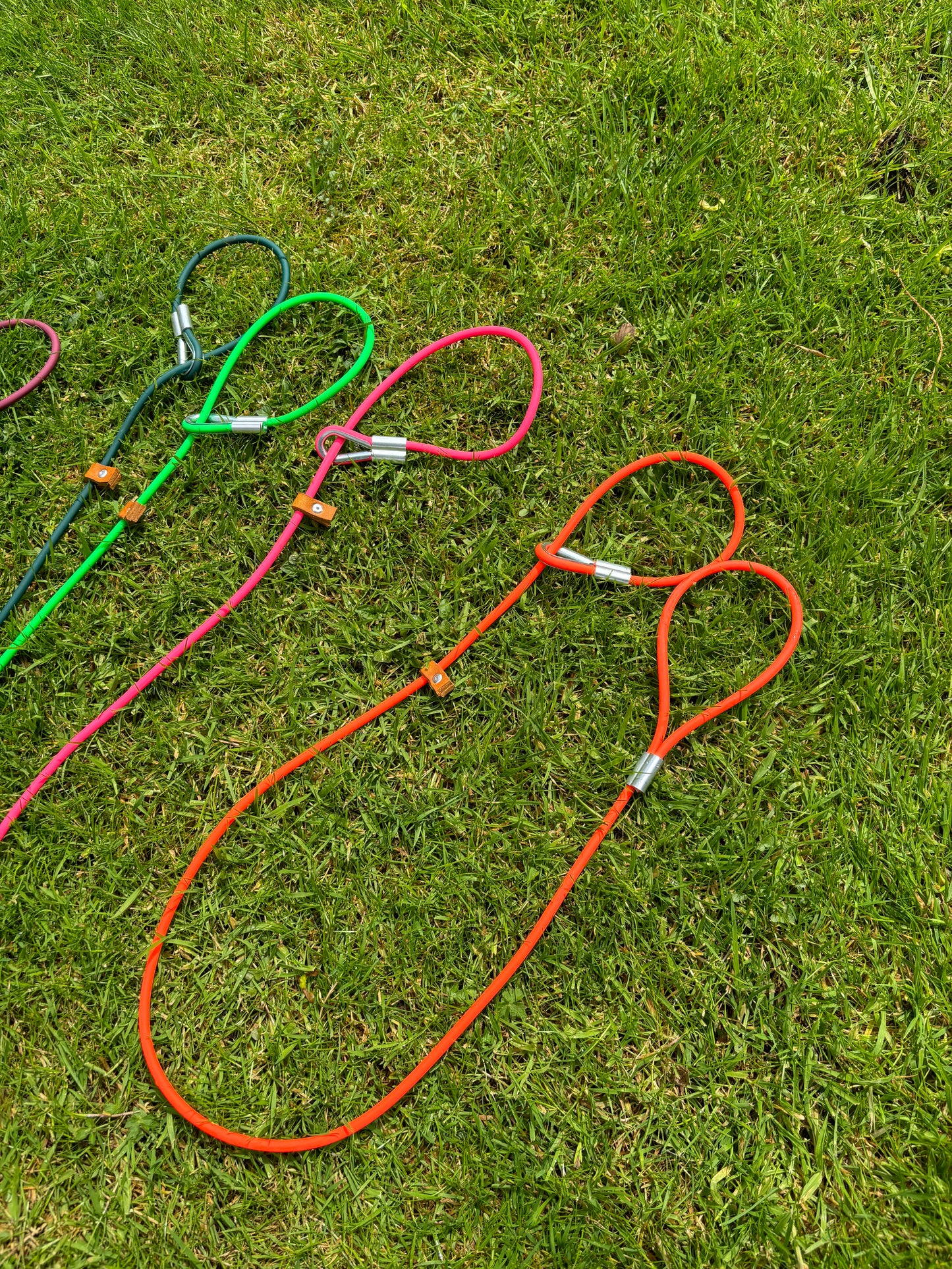 Dog slip lead