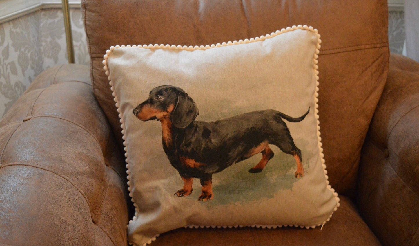 Dachshund cushion