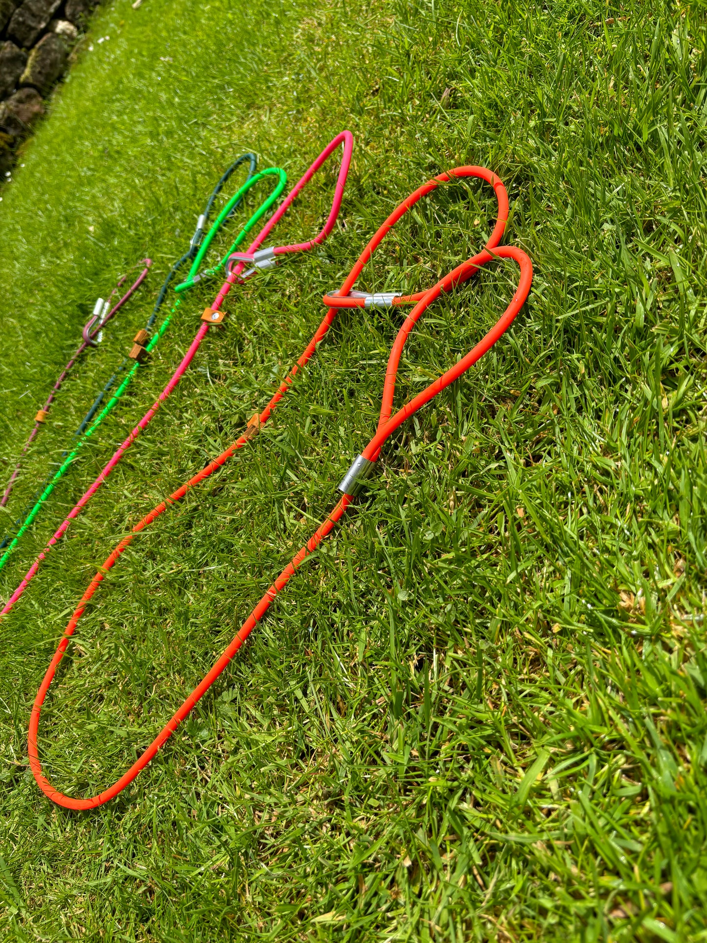 Dog slip lead